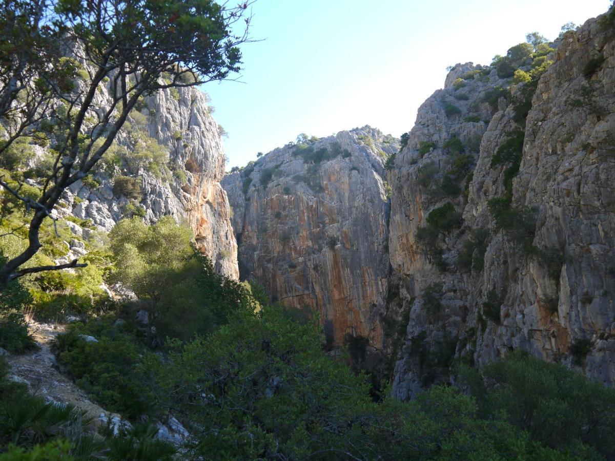 Casa Rural Guadiaro El Colmenar Bagian luar foto
